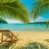 Summer Outlook