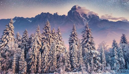 REVIEW OF THE PAST QUARTER: WINTER OUTLOOK